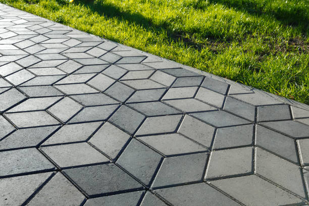 Best Driveway Pavers Contractor  in Level Plains, AL