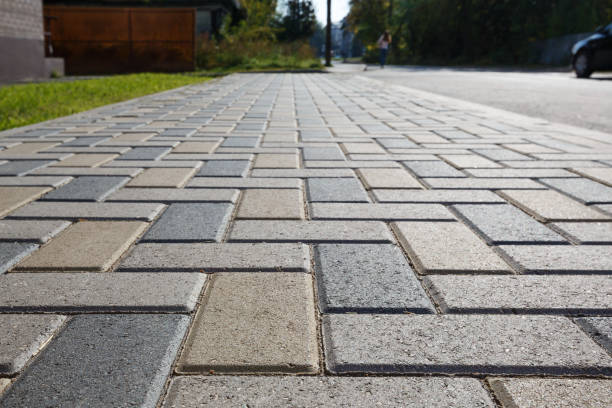 Best Driveway Repair Near Me  in Level Plains, AL