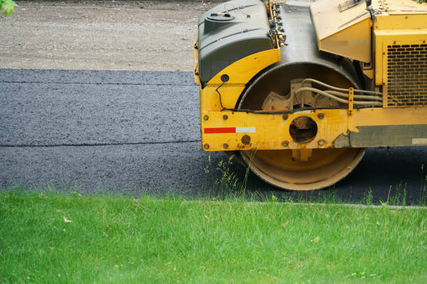 Best Best Driveway Pavers  in Level Plains, AL