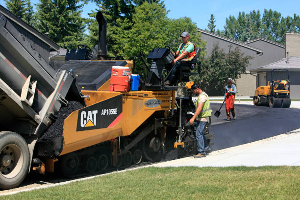 Reasons to Select Us for Your Driveway Paving Requirements in Level Plains, AL